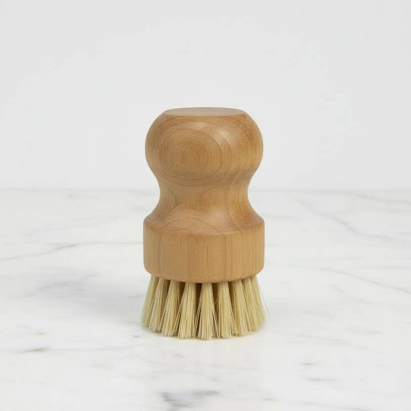 Solid Dish Soap Bar with Scrub Brush Set